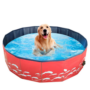 Why Every Pet Owner Needs a Foldable Pet Pool