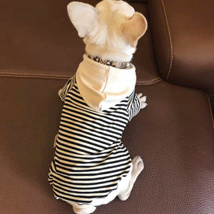 Terry Sweater for Small Pets: Fashion Meets Comfort
