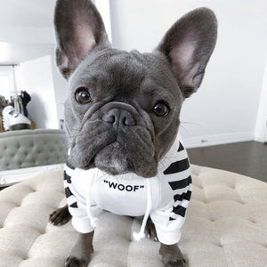 Three-Stripe Pet Sweater, Autumn and Winter Fashion