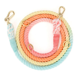 Introducing the Color Pet Traction Gradient Rainbow