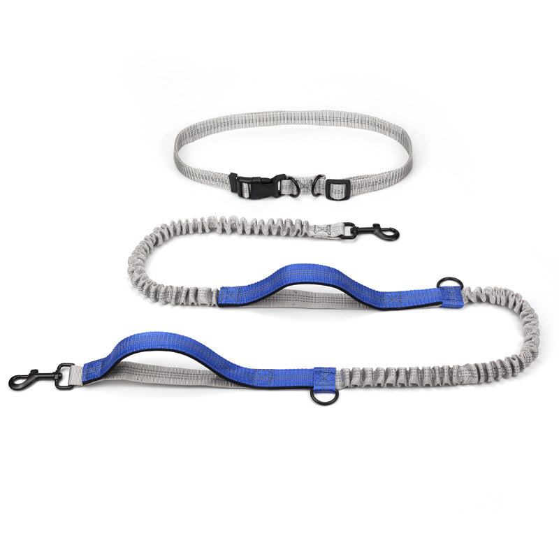 Multifunctional Reflective Double Telescopic Pet Leash and Lead Rope