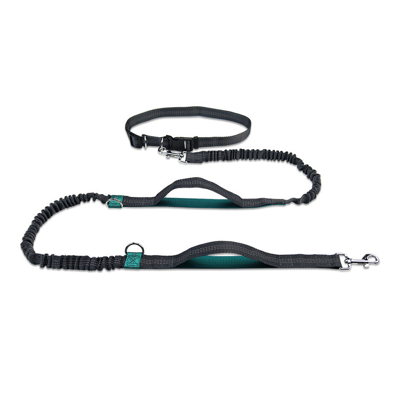 Multifunctional Reflective Double Telescopic Pet Leash and Lead Rope