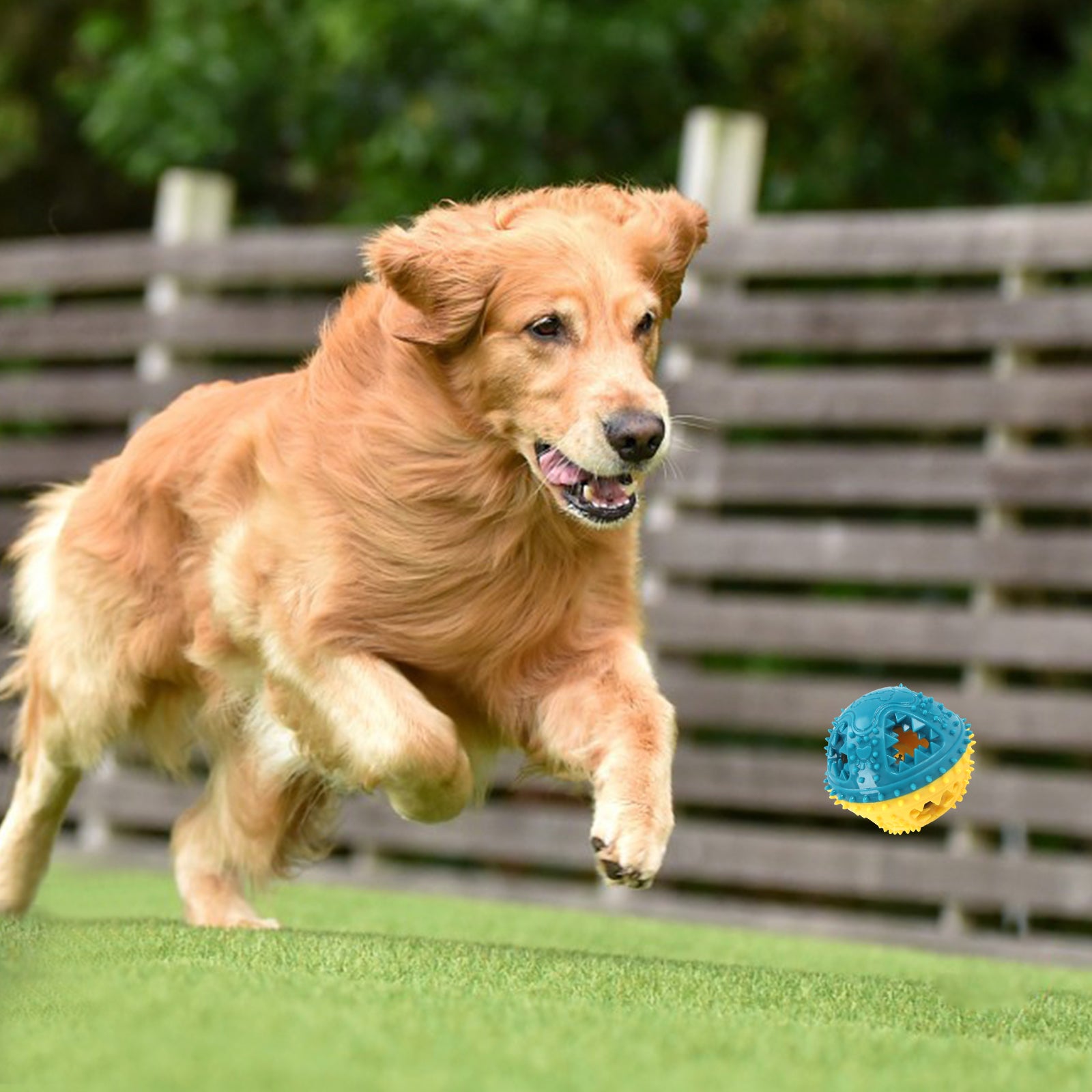Interactive Chew and Food-Dispensing Pet Toy Ball