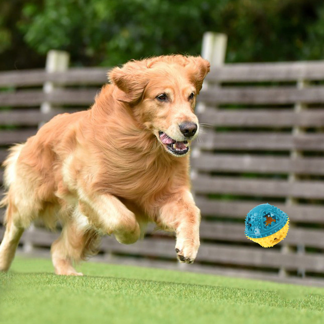 Interactive Chew and Food-Dispensing Pet Toy Ball
