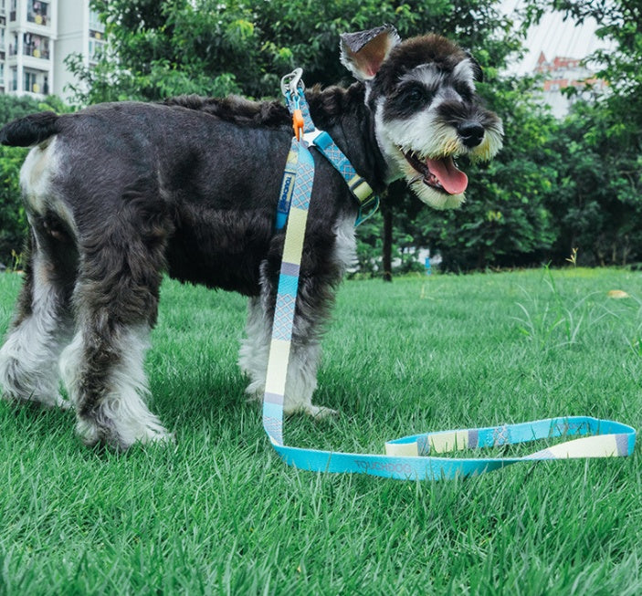 Heat Transfer Printing Traction Rope and Collar Set for Pets