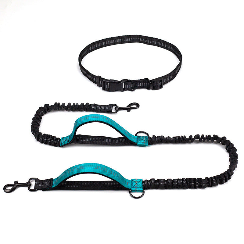 Multifunctional Reflective Double Telescopic Pet Leash and Lead Rope