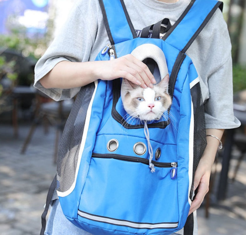 Pet Outing Backpack for Travel