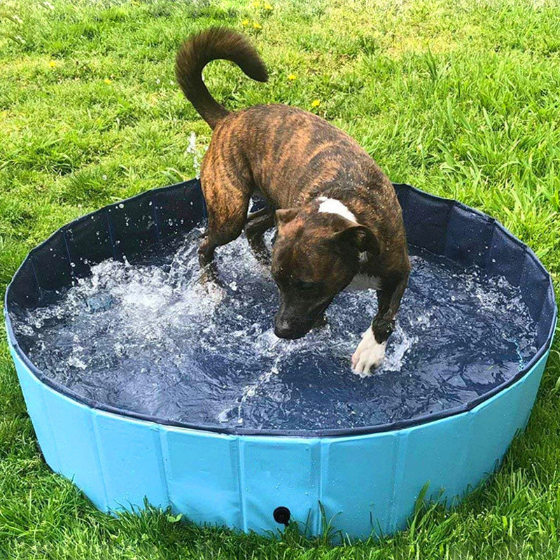 Foldable Pet Pool Collapsible Bathing Tub for Outdoor and Indoor Use