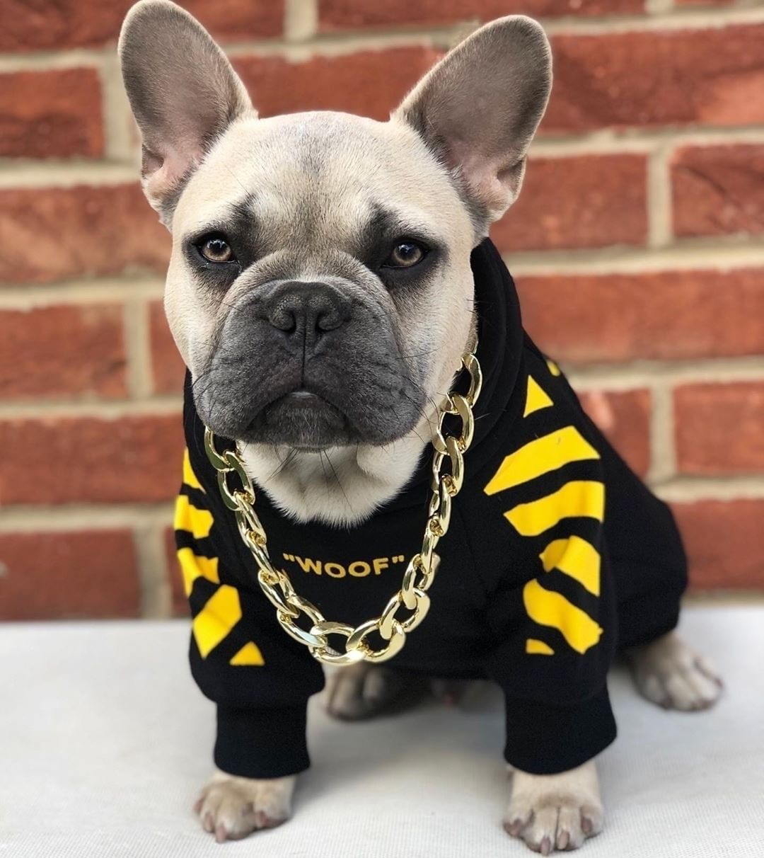 Three-Stripe Pet Sweater, Autumn and Winter Fashion