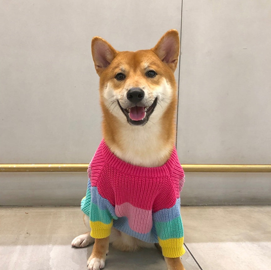 Rainbow Sweater for Small Pets, Puppy Clothes