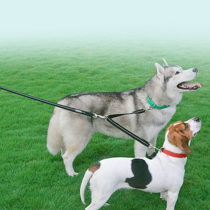 Double-Headed One-to-Two Reflective Nylon Pet Leash