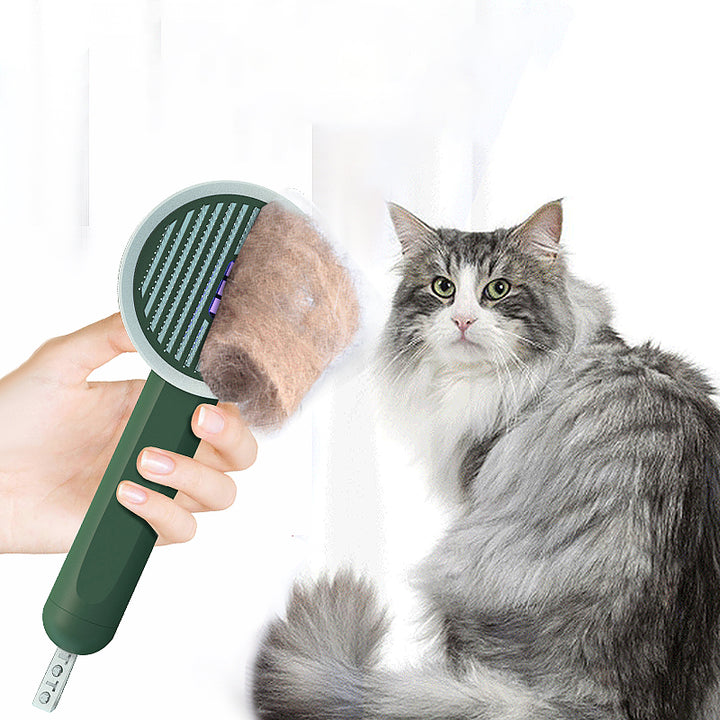 Hoopet 2-in-1 Pet Comb and UVC Moss Detection Lamp with Hair Remover