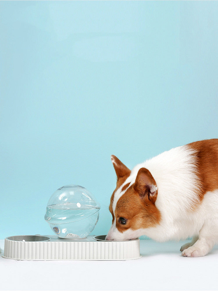 Plastic Automatic Pet Feeder and Water Bowl for Pets