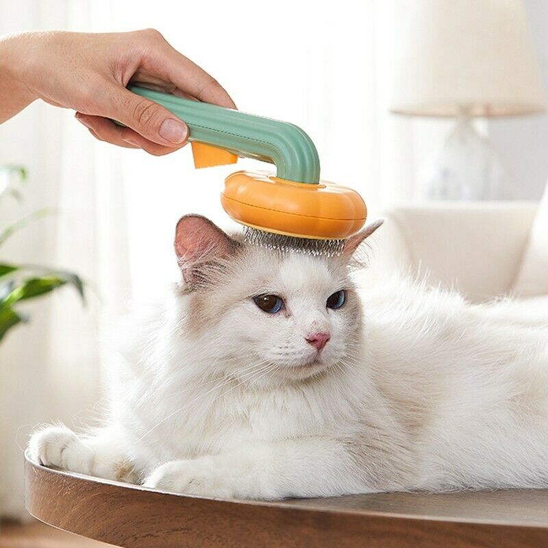 Pet Pumpkin Self-Cleaning Slicker Brush for Grooming and Fur Removal