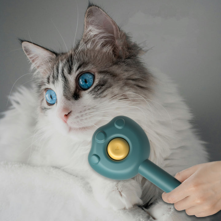 Pet Grooming Comb with Self-Cleaning Needle and Handle