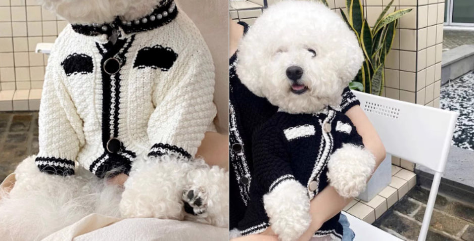 Striped Knitted Pet Sweater Cardigan