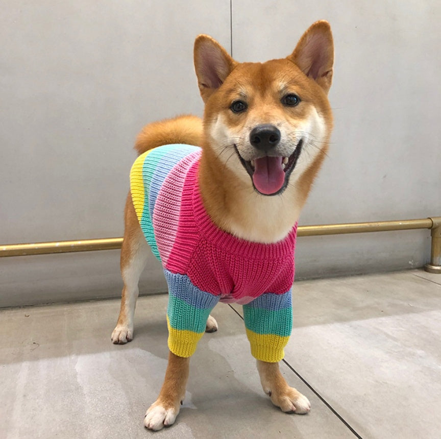 Rainbow Sweater for Small Pets, Puppy Clothes