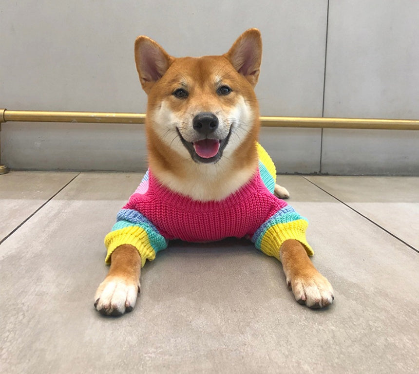 Rainbow Sweater for Small Pets, Puppy Clothes