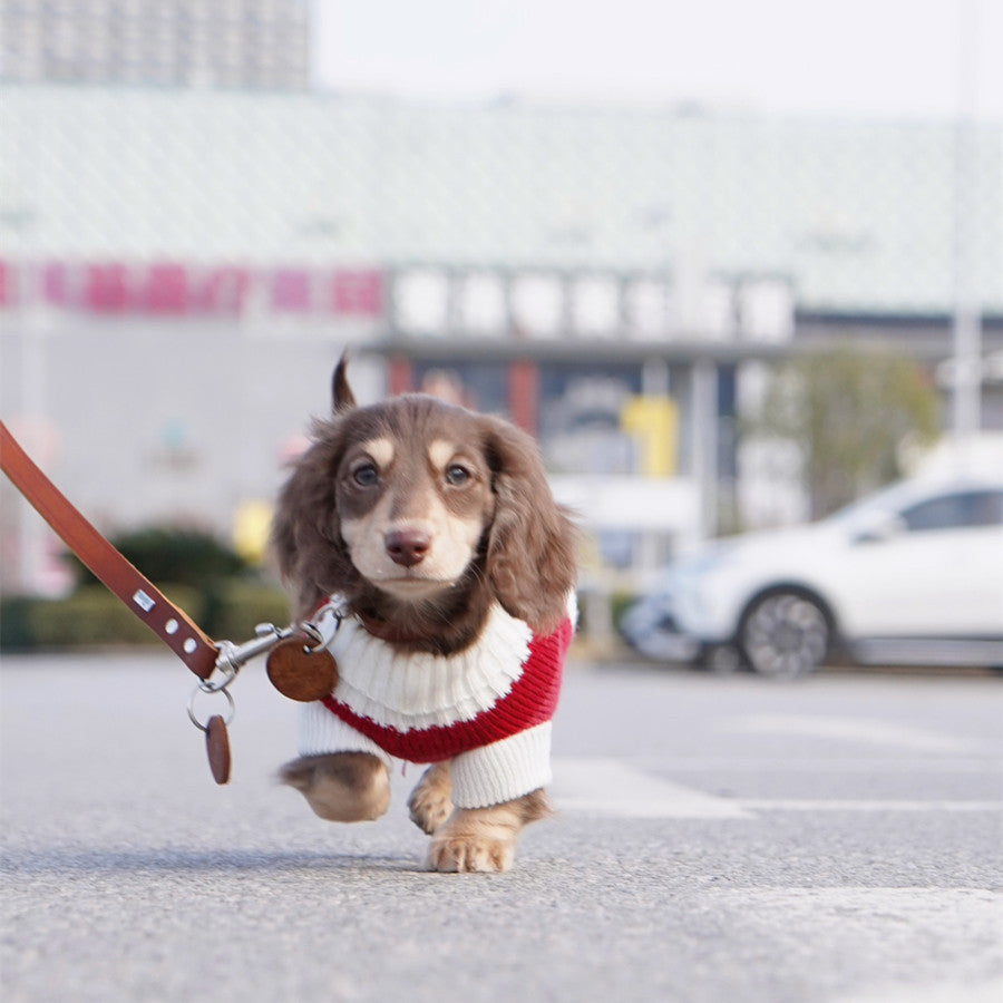 Warm Thickened Sweater for Small Pets