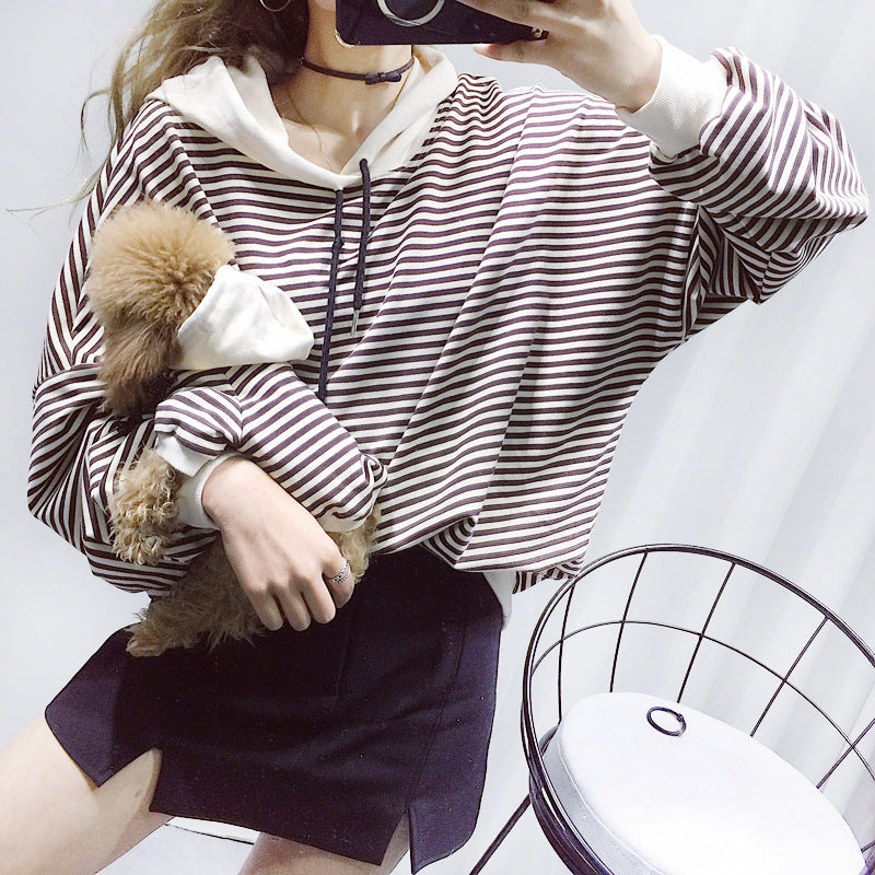 Terry Sweater for Small Pets, Fashionable Clothing