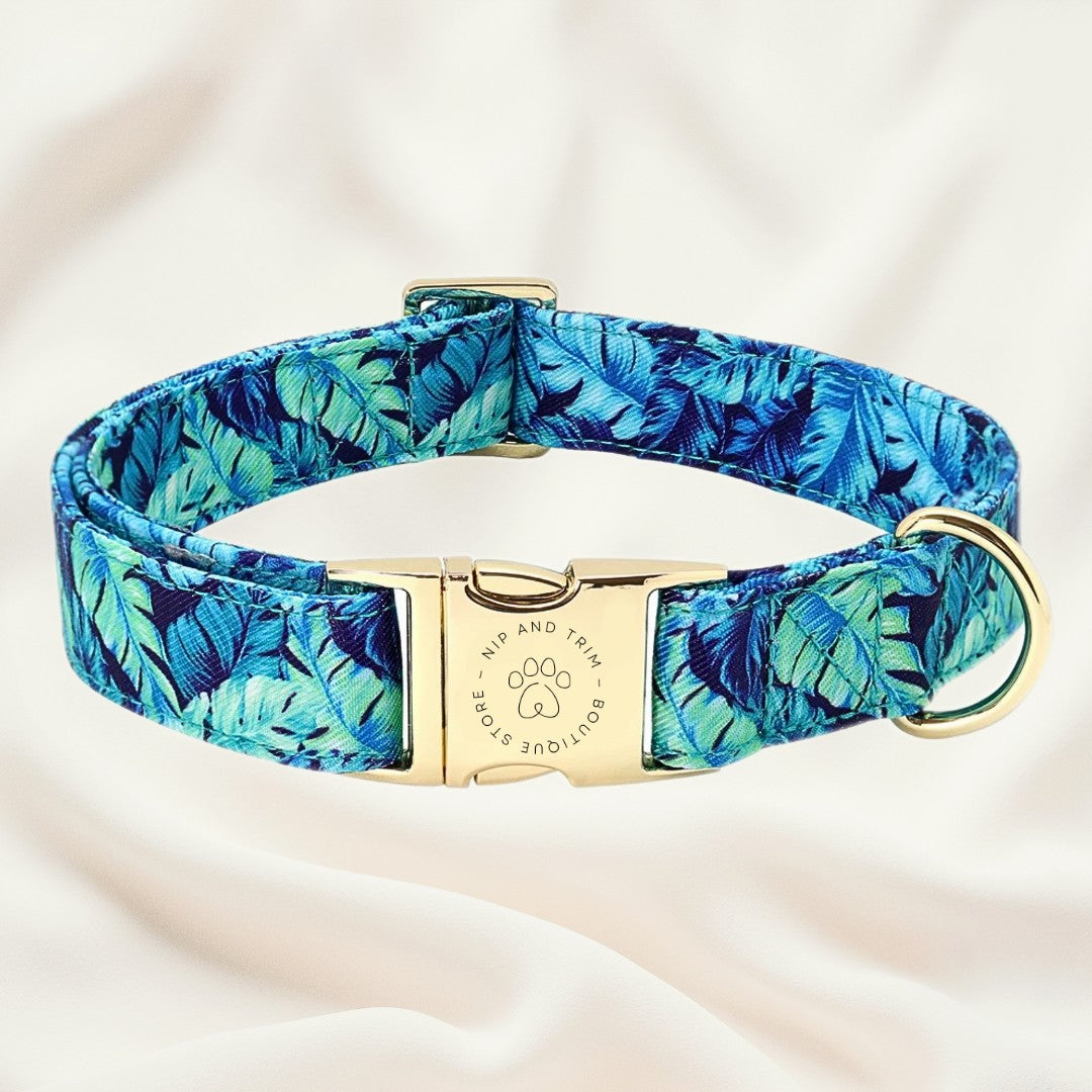 Custom Pet Tag and Collar with Lettering Identity Card