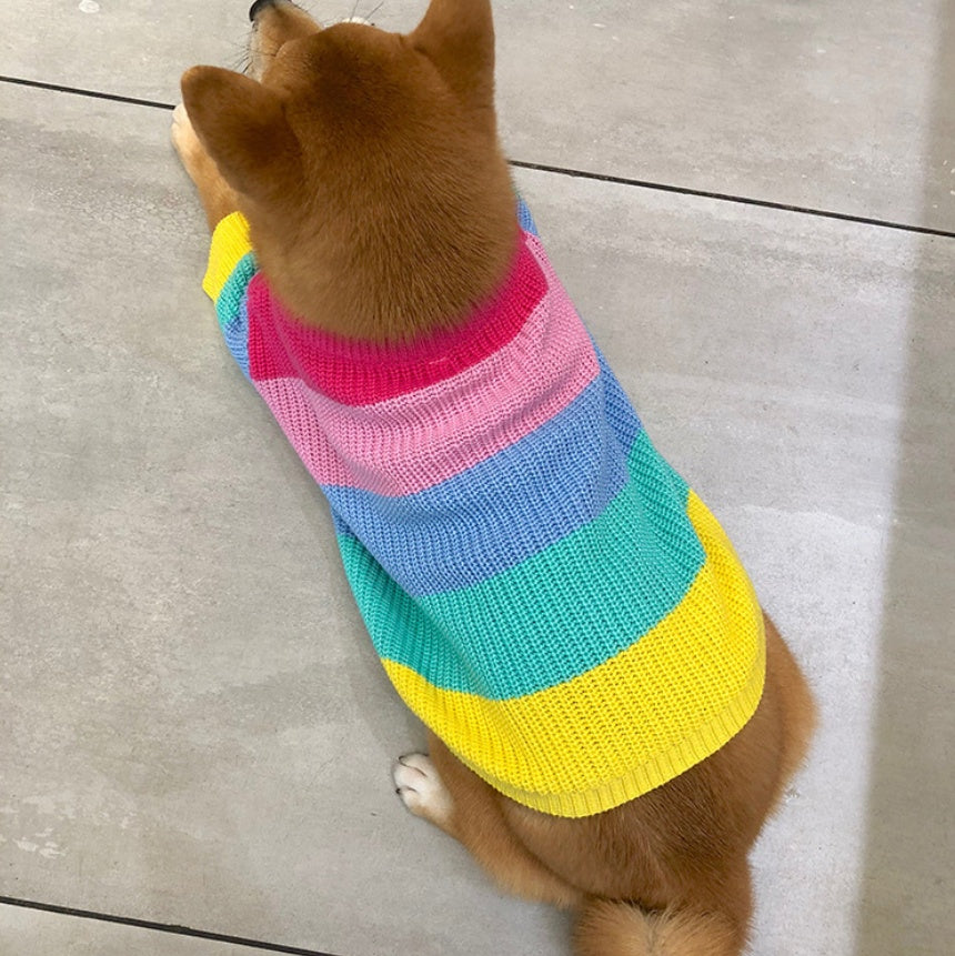 Rainbow Sweater for Small Pets, Puppy Clothes