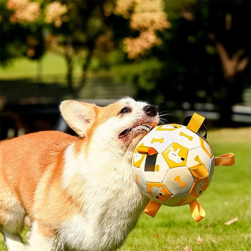 Interactive Pet Football Chew Toy for Outdoor Play