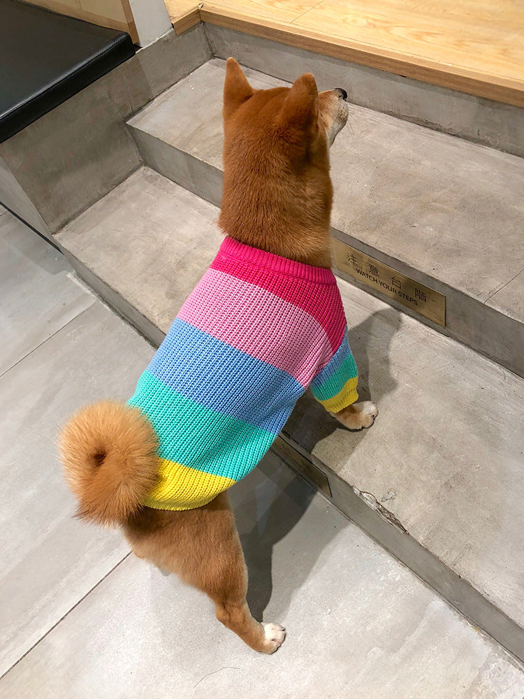 Rainbow Pet Sweater
