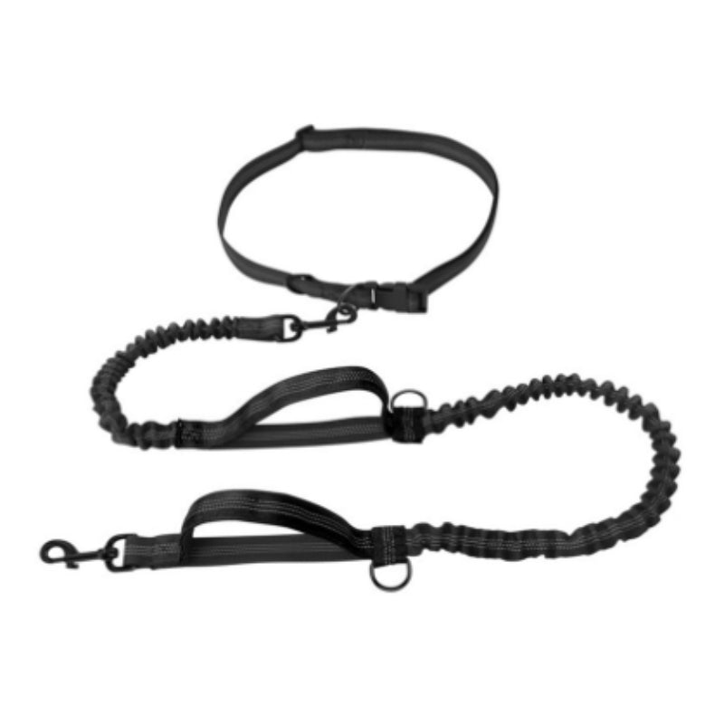 Multifunctional Reflective Double Telescopic Pet Leash and Lead Rope