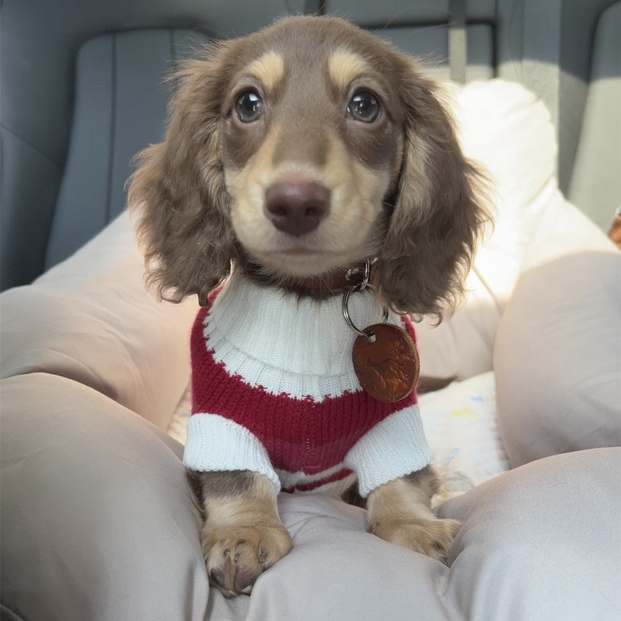 Warm Thickened Sweater for Small Pets