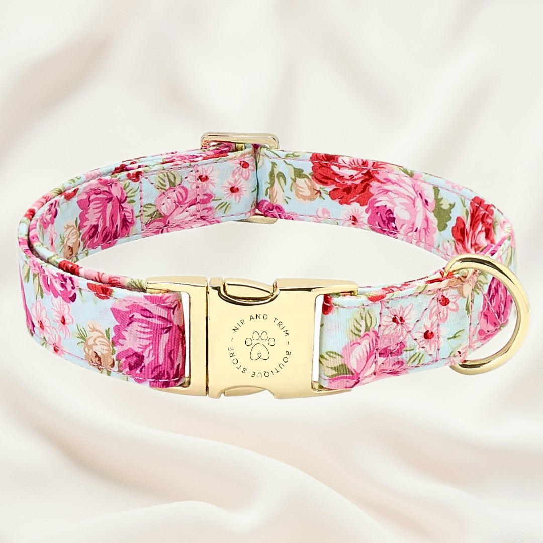 Custom Pet Tag and Collar with Lettering Identity Card