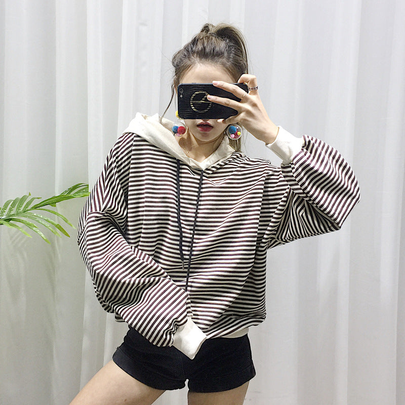 Terry Sweater for Small Pets, Fashionable Clothing