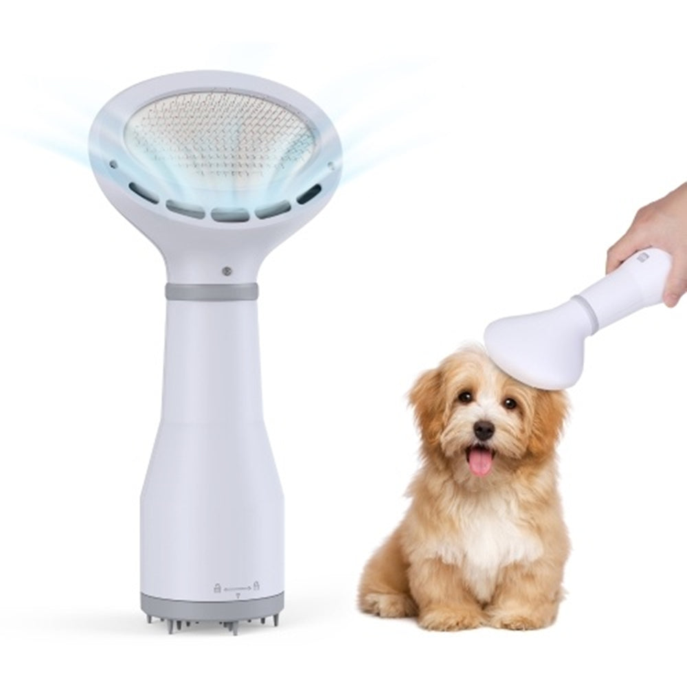 Dadypet Pet Hair Dryer and Grooming Slicker Brush