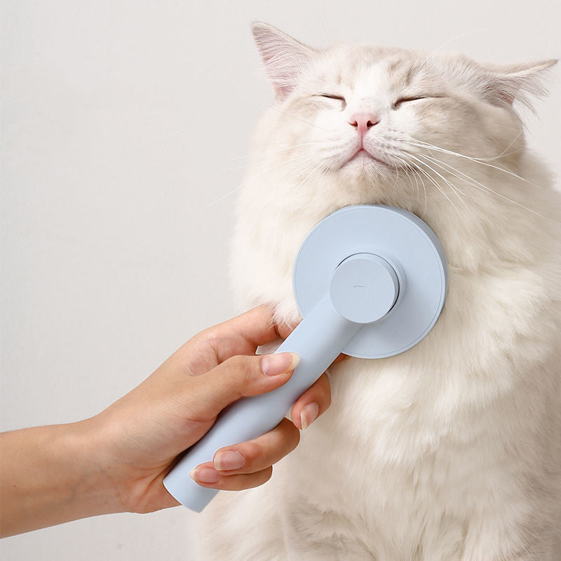Pet Comb Hair Brush for Floating Hair Removal
