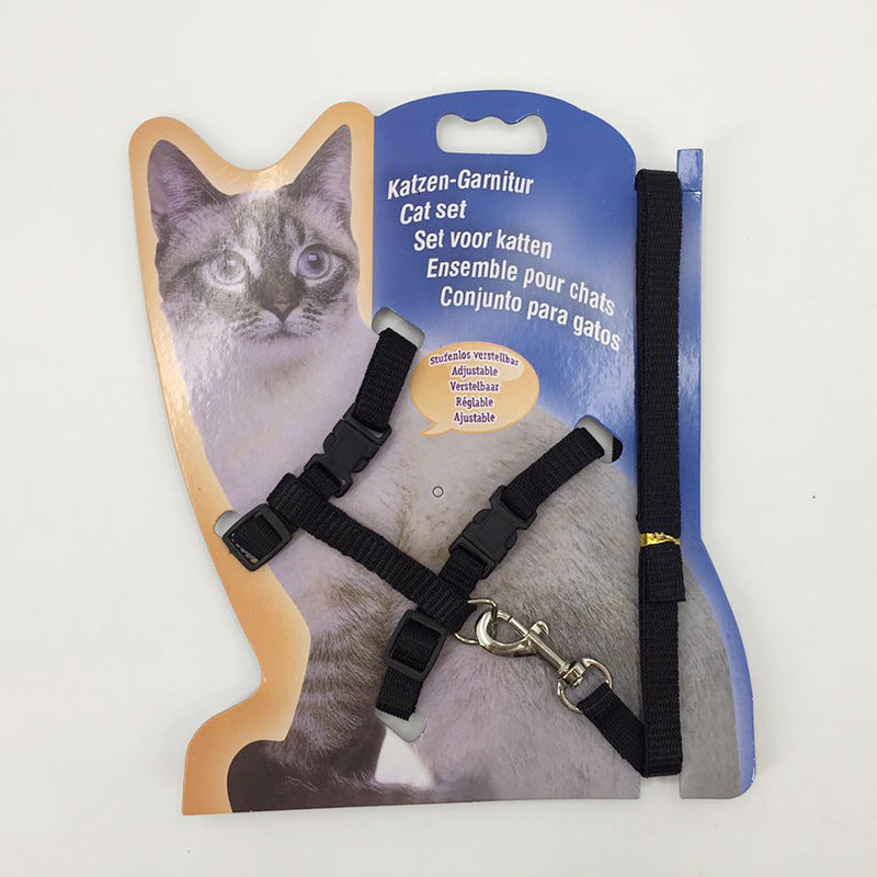 Fashionable Pet Leash to Prevent Escape