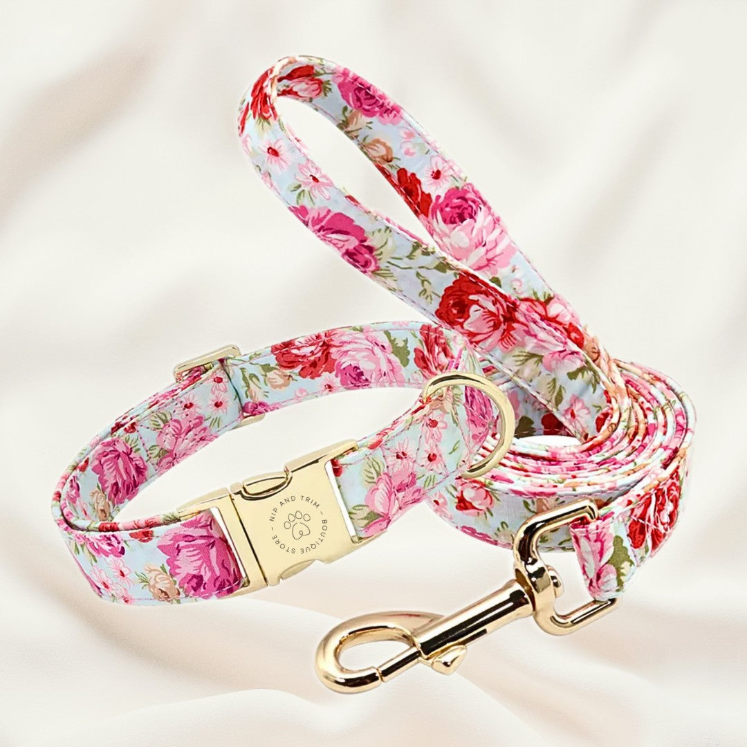 Custom Pet Tag and Collar with Lettering Identity Card