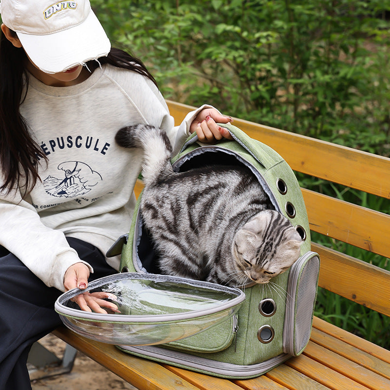 Portable Transparent Pet Backpack and Diaper Bag