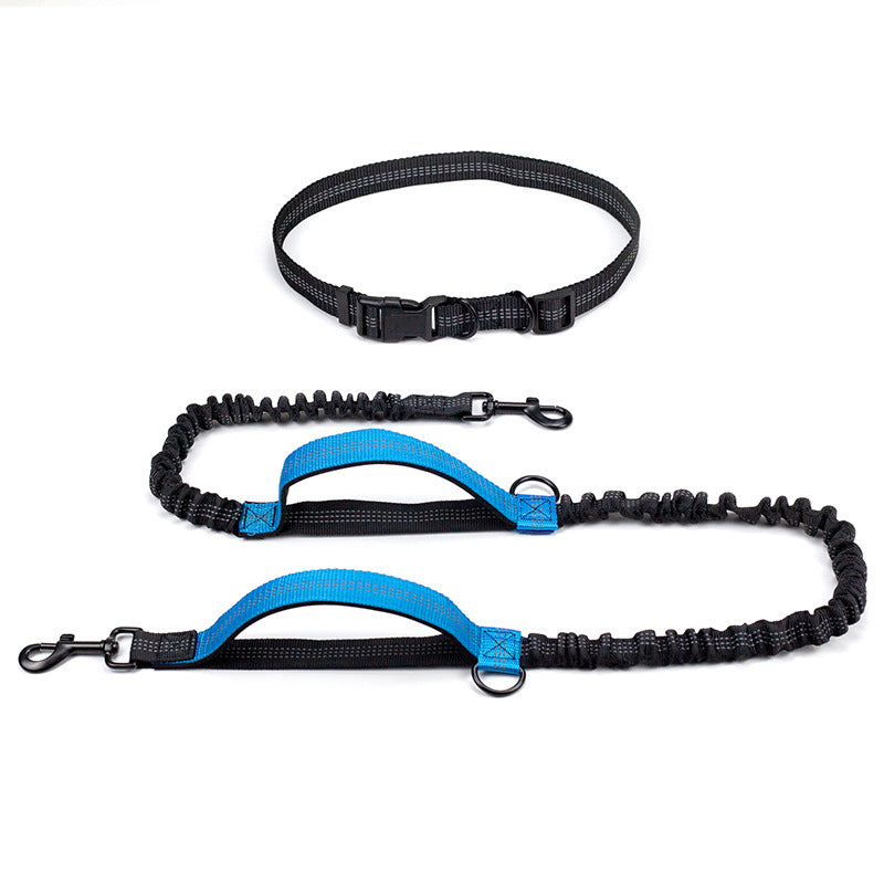 Multifunctional Reflective Double Telescopic Pet Leash and Lead Rope