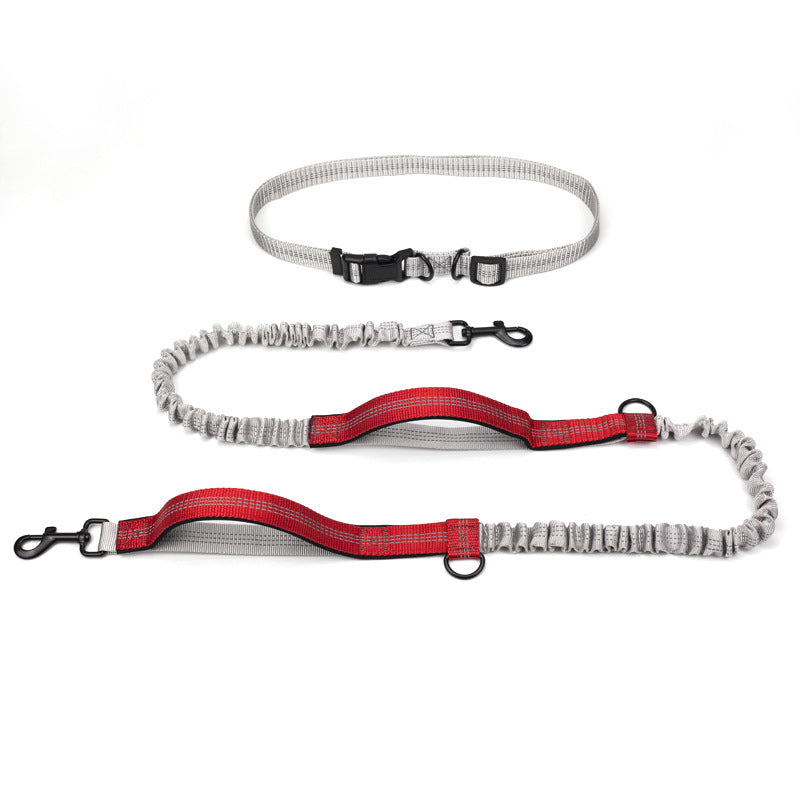 Multifunctional Reflective Double Telescopic Pet Leash and Lead Rope