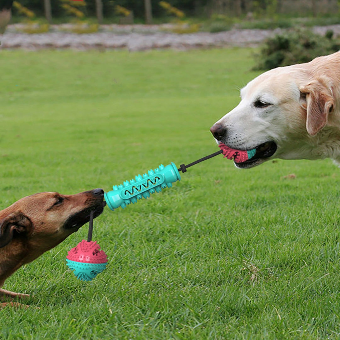 Durable Teeth-Cleaning Chew Stick for Pets