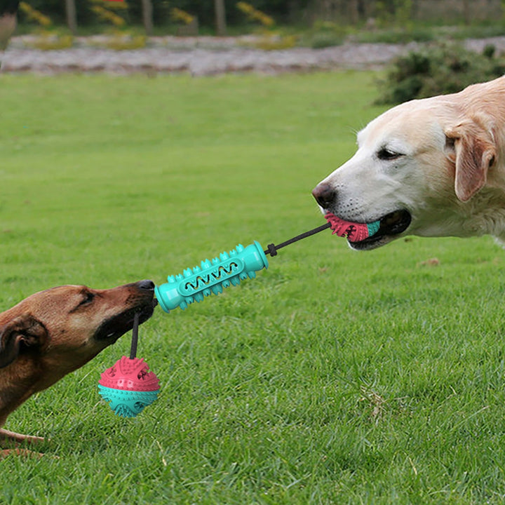 Durable Teeth-Cleaning Chew Stick for Pets