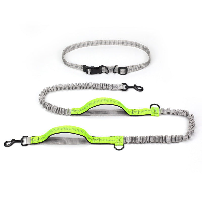Multifunctional Reflective Double Telescopic Pet Leash and Lead Rope