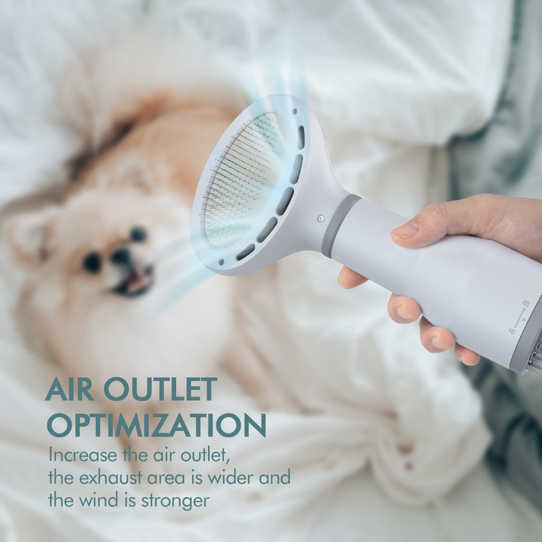 Dadypet Pet Hair Dryer and Grooming Slicker Brush
