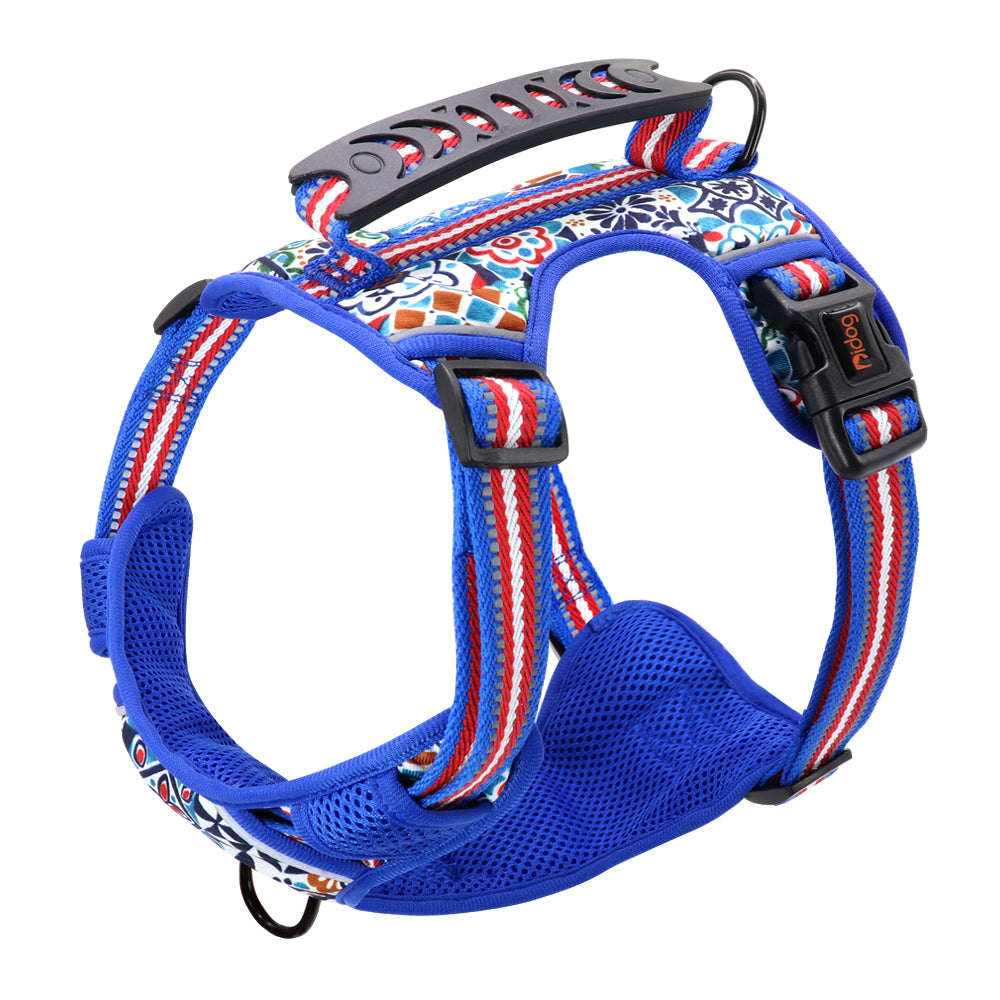 Pet Leash and Chest Harness for Small to Large Pets
