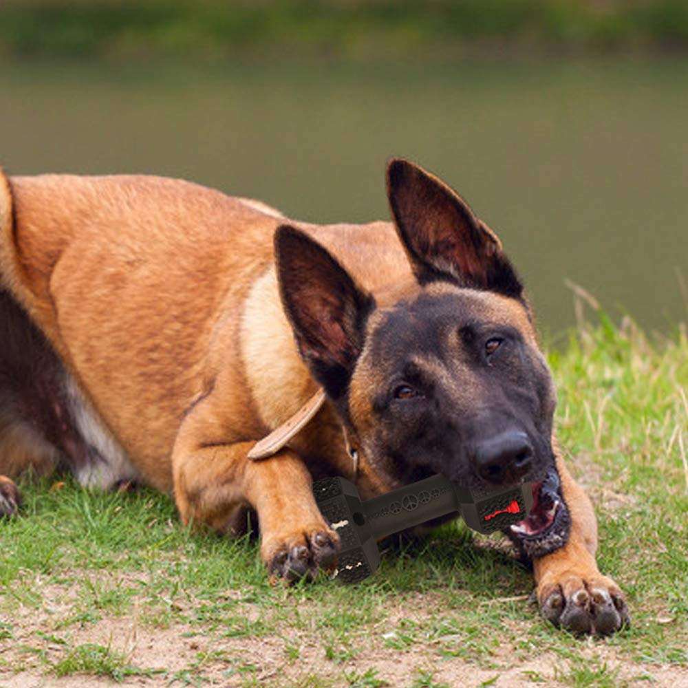 Durable Food-Grade Interactive Pet Chew Toy for Aggressive Pets