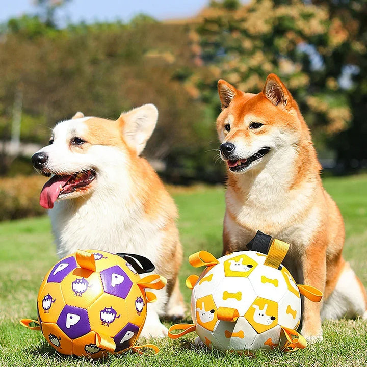 Interactive Pet Football Chew Toy for Outdoor Play