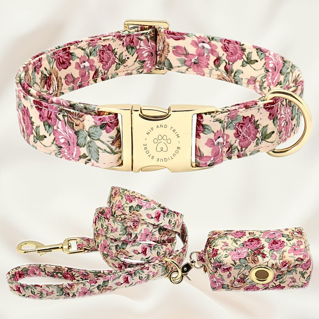 Custom Pet Tag and Collar with Lettering Identity Card
