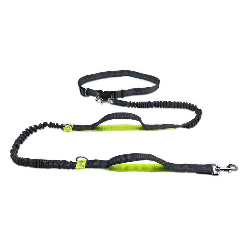 Multifunctional Reflective Double Telescopic Pet Leash and Lead Rope