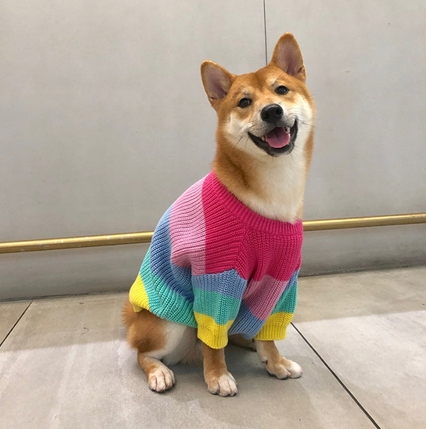 Rainbow Sweater for Small Pets, Puppy Clothes