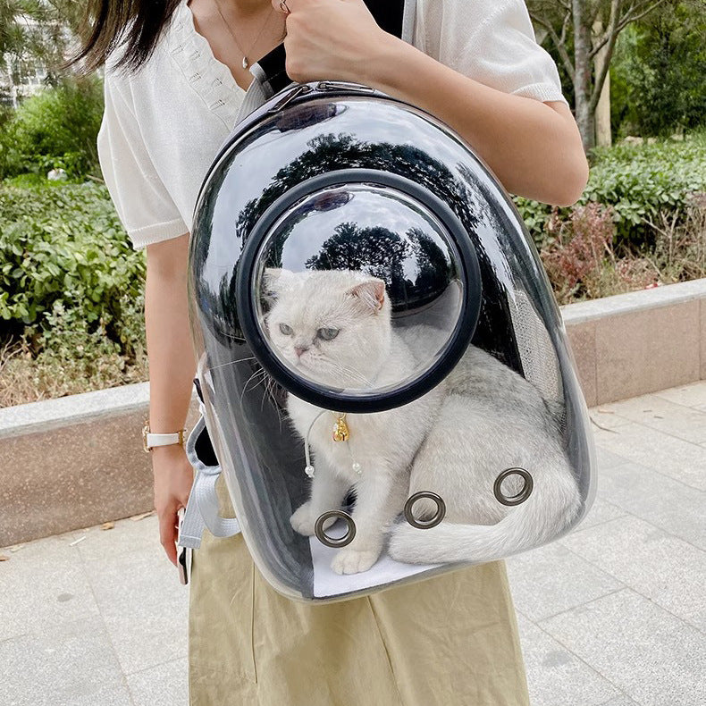 Transparent Skylight Pet Backpack with Large Capacity and Breathable D – Lavelles Paws Nd Beyond